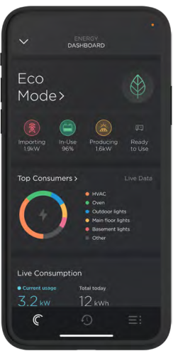 Savant Energy Dashboard phone screen in &ldquo;Eco Mode&rdquo; with green leaf icon; shows importing 1.9 kW, in-use 96 %, producing 1.6 kW, status icons, donut chart of top consumers and live consumption stats.